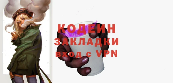 крисы Билибино