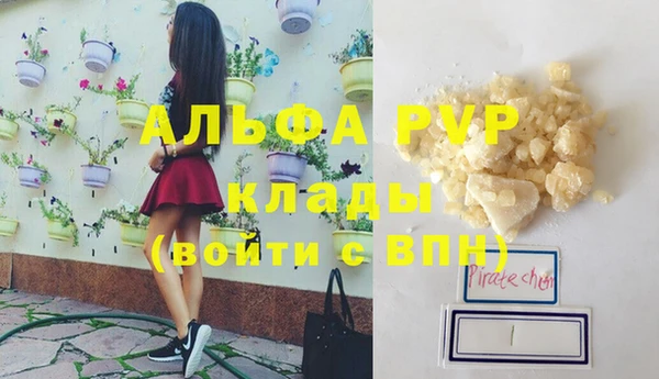 стаф Нефтегорск
