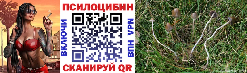 МЕГА зеркало Ангарск Псилоцибиновые грибы Psilocybe
