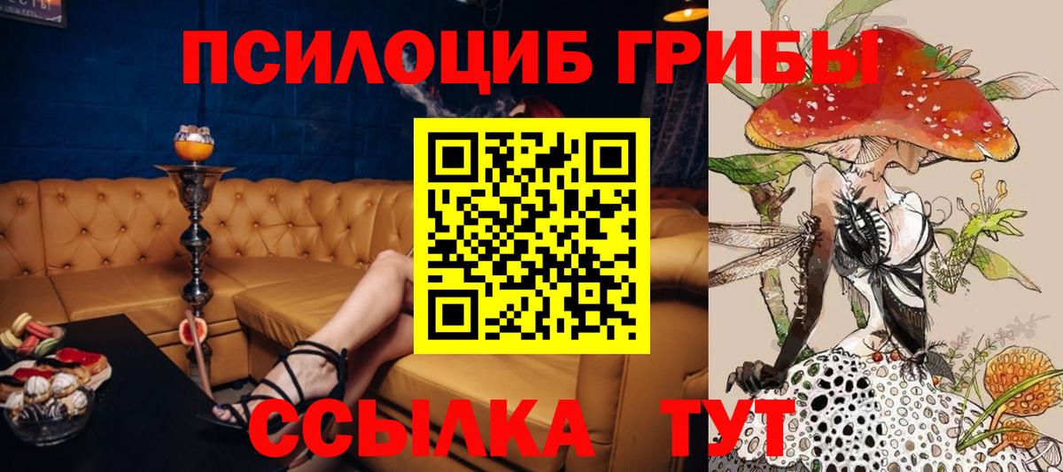 Галлюциногенные грибы прущие грибы  Ангарск  Псилоцибиновые грибы мицелий 
